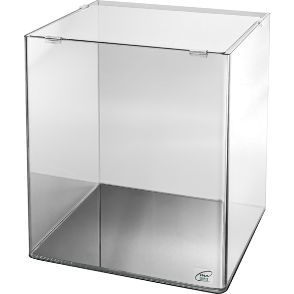 60 Liter Glasbecken von me Aquaristic für immersive Unterwasserwelten und Fischschwärme.