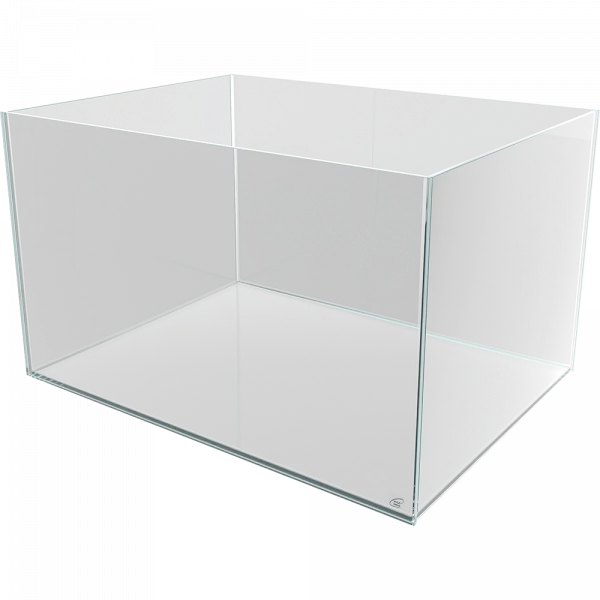 Me Cubito Weißglasbecken 60 Tief als Weißglas-Aquarium in der Hauptansicht