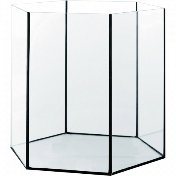 Me Top-Glas Aquarium HEX 17,5 L als sechseckiges Glasaquarium in der Hauptansicht