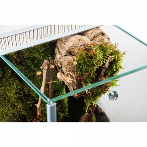 Me Top-Glas Terra Spider Medium aus seitlicher Perspektive mit sichtbarer Terrarienform