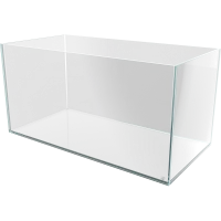 Me Cubito Weißglasbecken 90 als Weißglas-Aquarium in der Hauptansicht