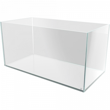 Me Cubito Weißglasbecken 90 als Weißglas-Aquarium in der Hauptansicht