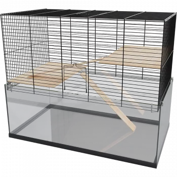 Me Glas Palast 80 als Glasterrarium in der Hauptansicht