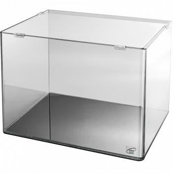 70 Liter Panorama Aquarium für maximale Kreativität und imposante Aquascaping Layouts.