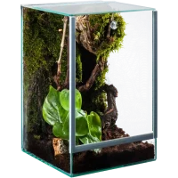Me Top-Glas Terra Spider Cube als Spinnenterrarium aus Glas in der Hauptansicht