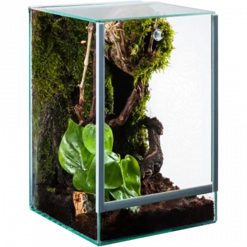Me Top-Glas Terra Spider Medium als Spinnenterrarium aus Glas in der Hauptansicht