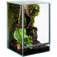 Me Top-Glas Terra Spider Vertical als Spinnenterrarium aus Glas in der Hauptansicht